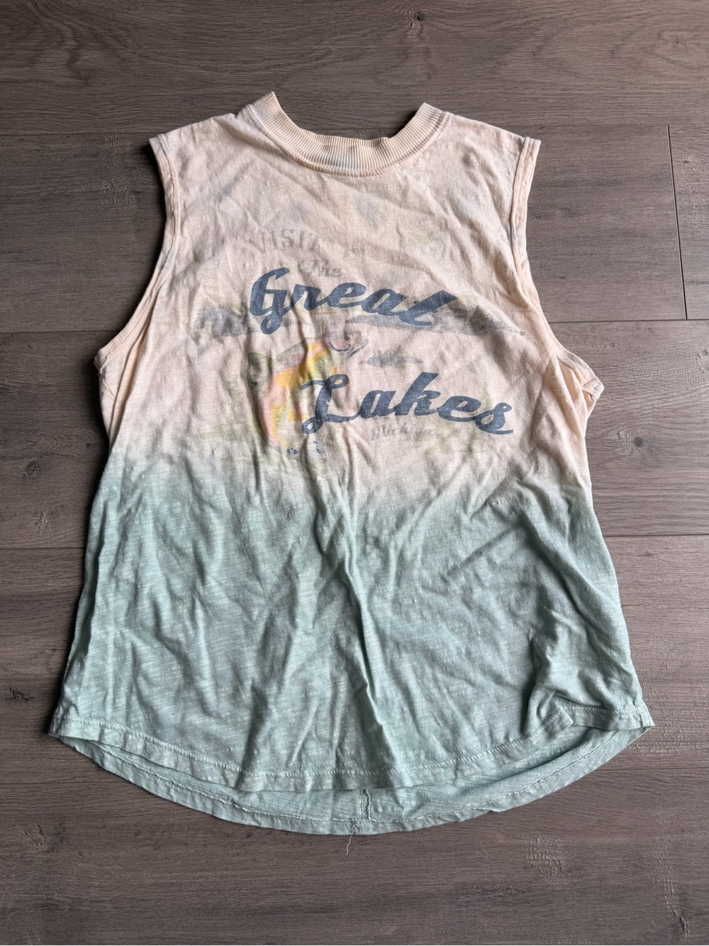 Pilcro Great Lakes graphic tank top - size medium - Picture 1 of 6